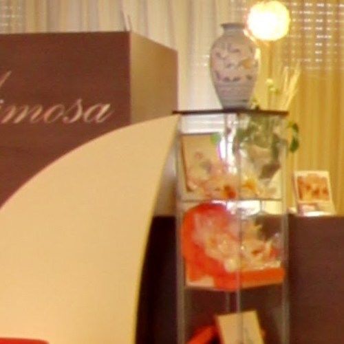 Mimosa Hotel 3*